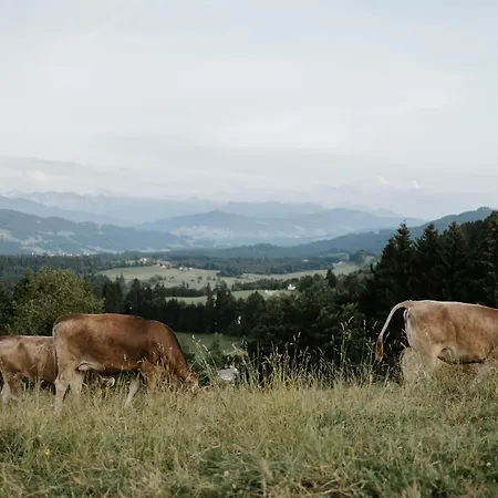 Heimatel - Im Alpenblick Holiday home Primisweiler
